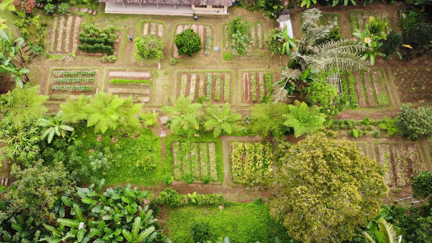 Evening Balinese Cooking Class — Pemulan Bali